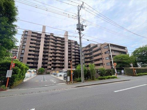 現地（２０２５年５月撮影）