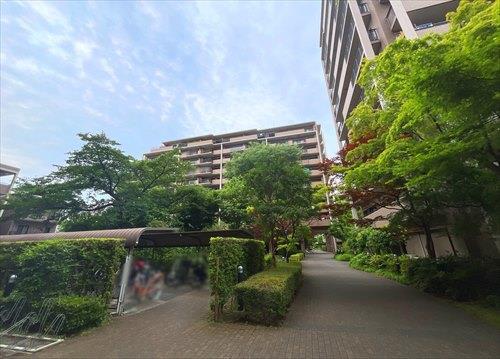 現地（２０２５年５月撮影）