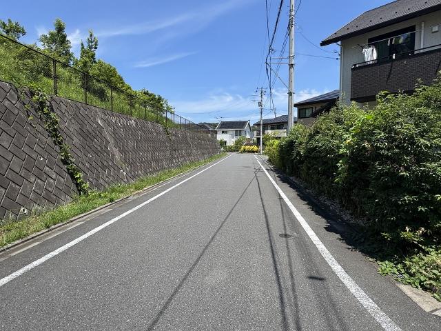 前面道路含む現地写真  写真撮影日：2025-06-30