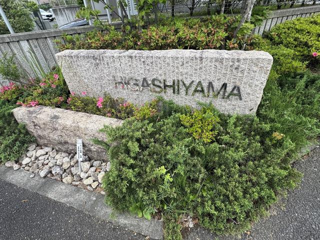 その他  写真撮影日：2025-05-18