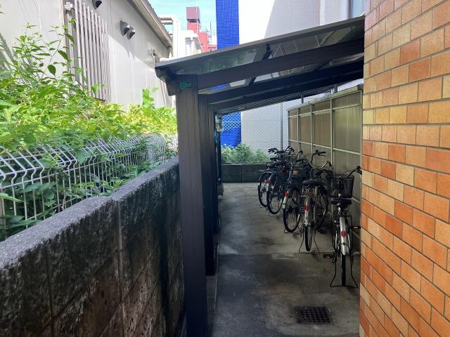 駐車場(共用設備)  写真撮影日：2025-06-28