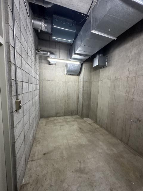 その他  写真撮影日：2025-06-27