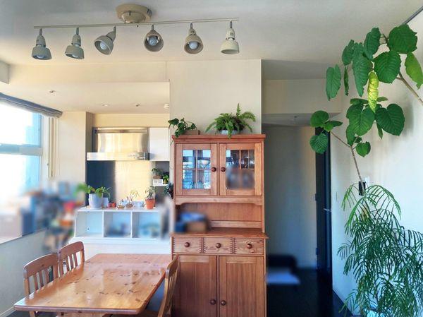 LD（家具・備品等は価格に含まれません。）