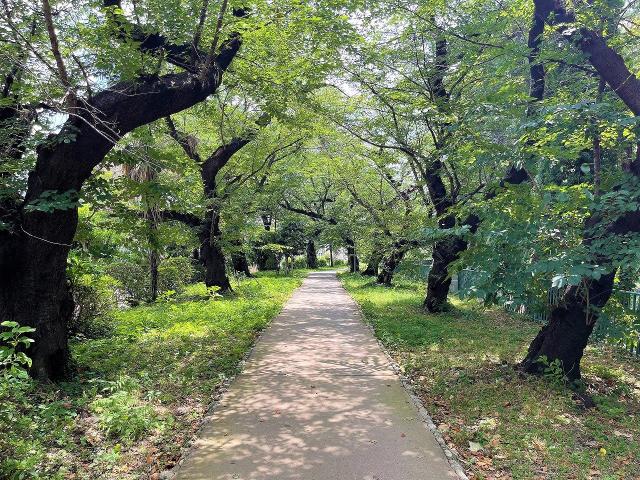 外堀公園780m 780m 写真撮影日：2025-07-31
