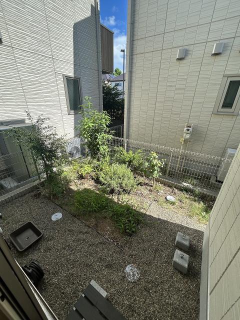 庭  写真撮影日：2025-08-04