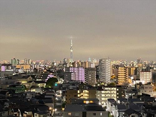 南東側バルコニー眺望（２０２５．７撮影）