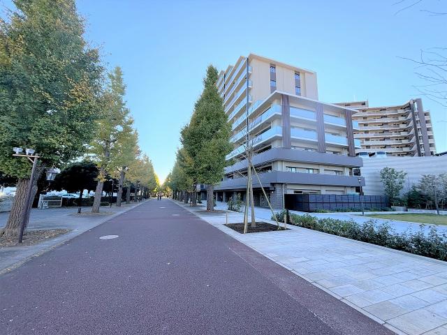 現地外観写真  写真撮影日：2025-06-01