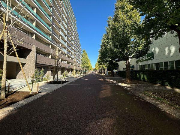その他現地  写真撮影日：2024-11-17