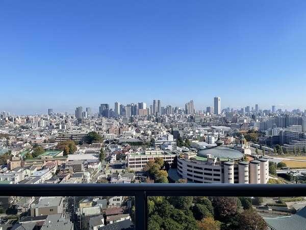 新宿新都心のビル群を望めます