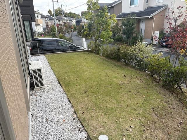 庭  写真撮影日：2025-11-12