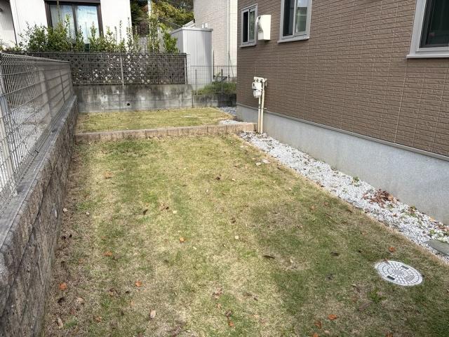 庭  写真撮影日：2025-11-12