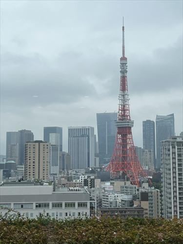 最上階からの眺望