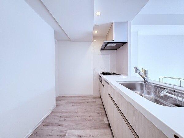 新規交換されたシステムキッチン。ディスポーザーや、調理にも便利な浄水器など機能的な設備が揃います。