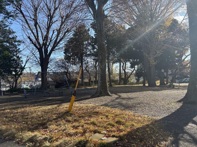 たぬき公園 40m 写真撮影日：2025-12-22