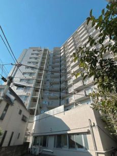 現地（２０２６年１月　撮影）