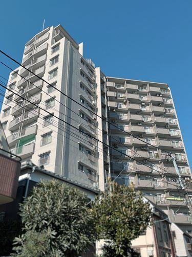 現地（２０２６年１月　撮影）