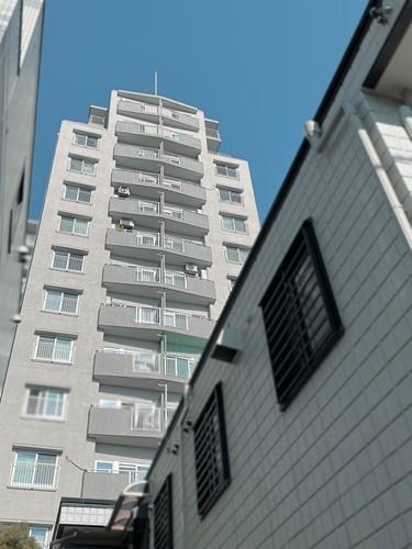 現地（２０２６年１月　撮影）