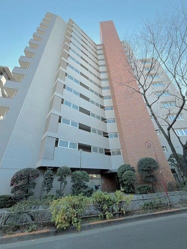 現地（２０２６年１月　撮影）