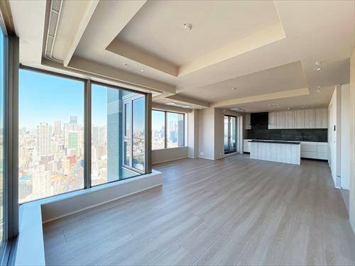 ＬＤＫ約３０．１帖