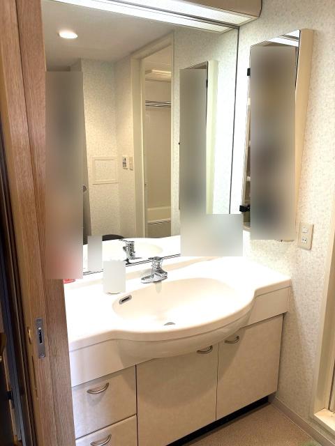 洗面台・洗面所  写真撮影日：2026-01-17