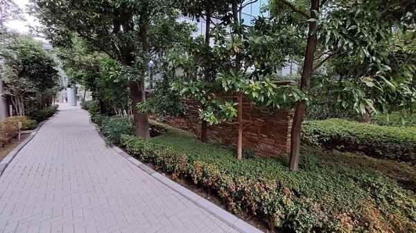 ◆豊かな緑に囲まれた敷地（南西側）