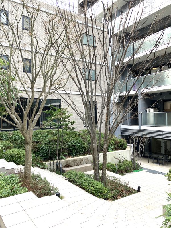 ケヤキのシンボルツリーを配したプライベートガーデンです。