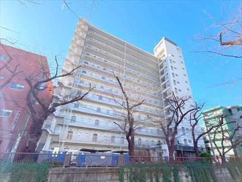 外観（２０２６年１月撮影）