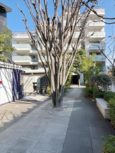 外観（２０２６年２月撮影）