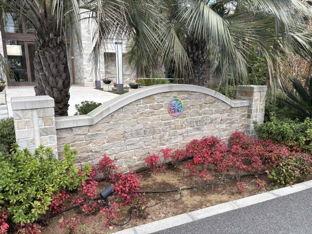 その他現地  写真撮影日：2026-03-05