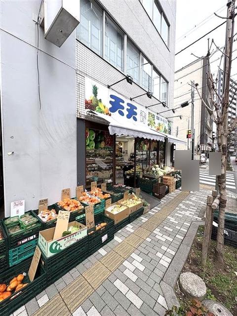 天天青果 340m 写真撮影日：2026-03-09