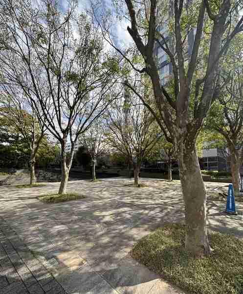 敷地内公開空地