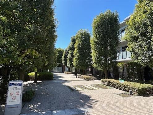 オークパティオ