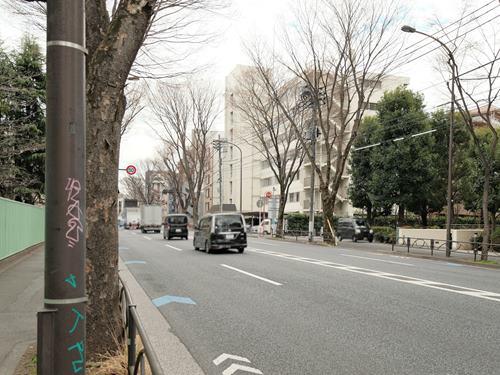 前面道路（撮影　２０２６．０３）