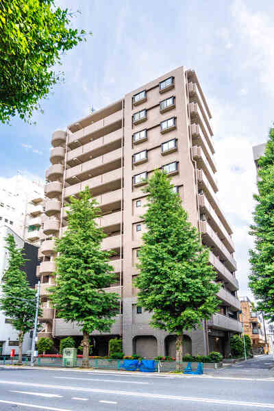 東京メトロ丸ノ内線「南阿佐ケ谷」駅徒歩1分。JR「阿佐ケ谷」駅も利用でき、交通至便な立地です。