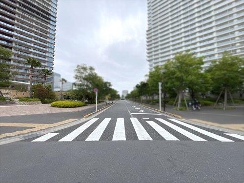 側面道路（２０２６年５月撮影）