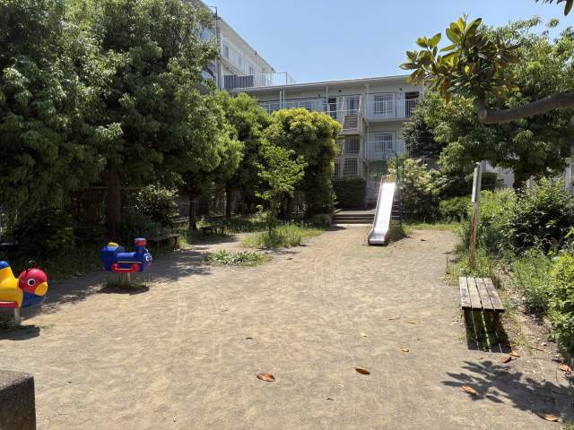 泉町第三公園 10m 写真撮影日：2026-05-18