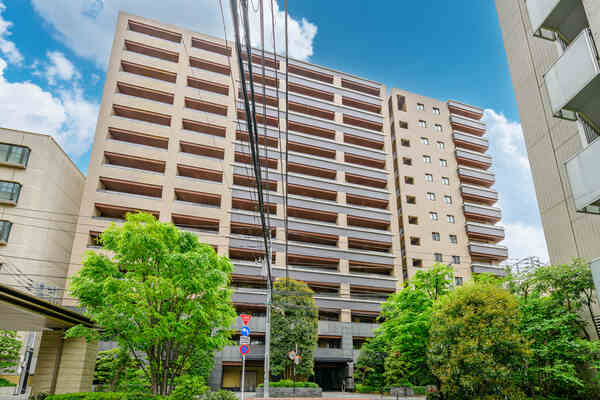 2018年11月築、地上14階建マンションの10階部分に位置します。ペット飼育可(規約制限有り)。