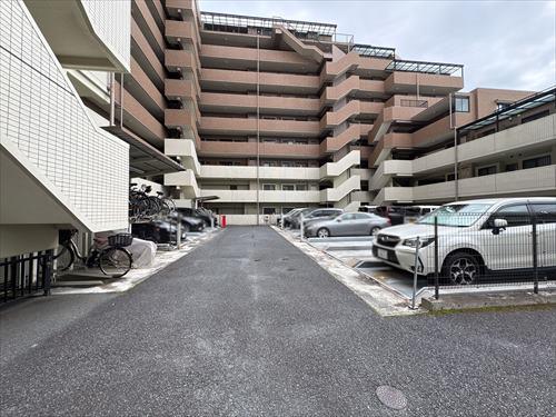 現地写真（２０２６年６月撮影）
