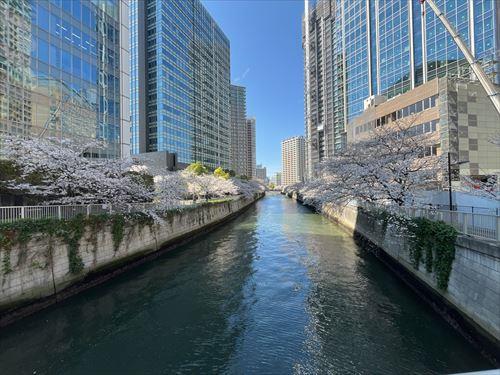 目黒川まで約７０ｍ　２０２６年４月撮影
