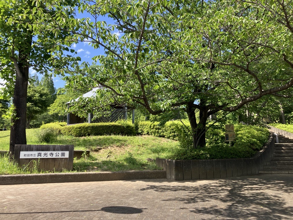 真光寺公園