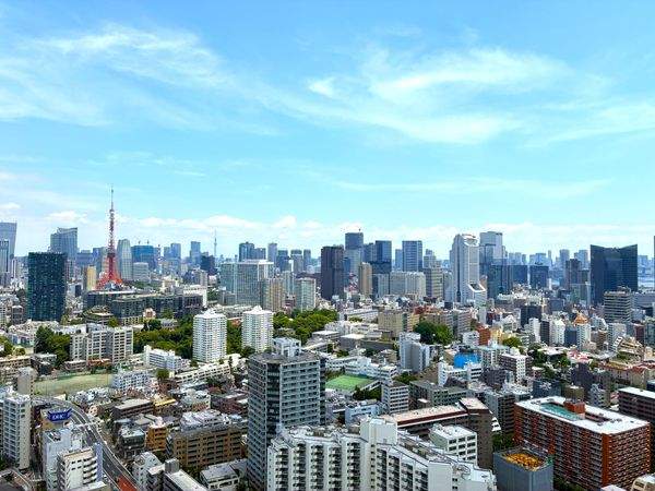 LD窓からの眺望