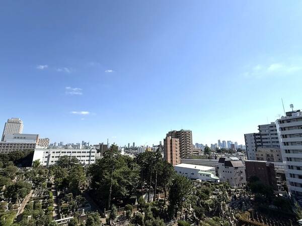 南向きにつき、陽当たり良好です。