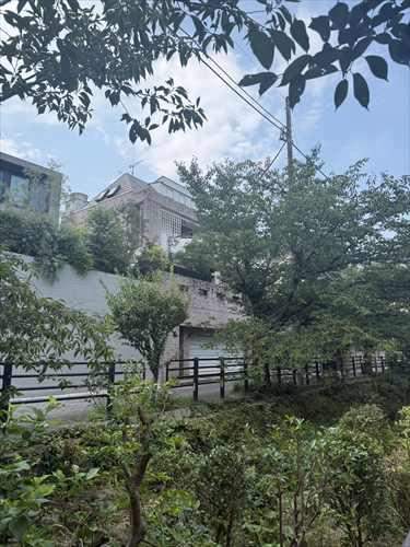 緑道から見た外観１（２０２６年７月撮影）