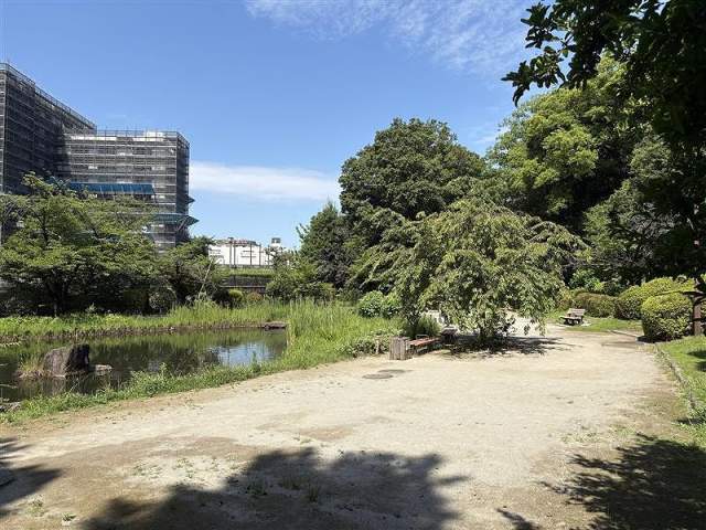 哲学堂公園 80m 写真撮影日：2026-07-25