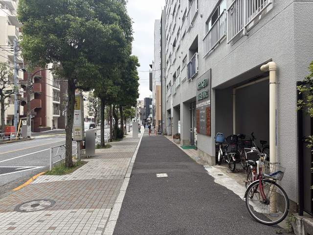 その他  写真撮影日：2026-08-22