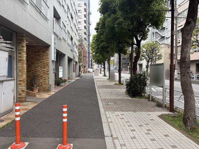その他  写真撮影日：2026-08-22