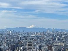 地上37階建の35階部分に所在。富士山を望む、贅沢な眺望を堪能できる住まいです(天候による)。