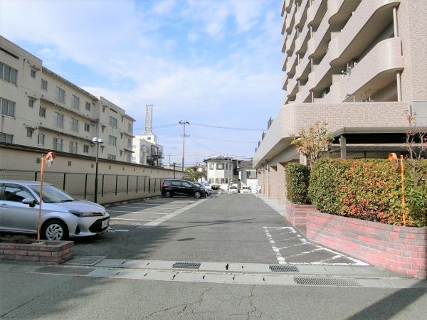 駐車場(共用設備)  写真撮影日：2024-11-16