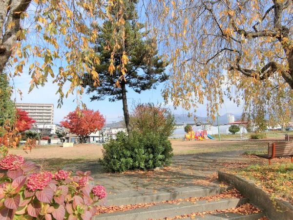 松山公園 340m 写真撮影日：2024-11-16 