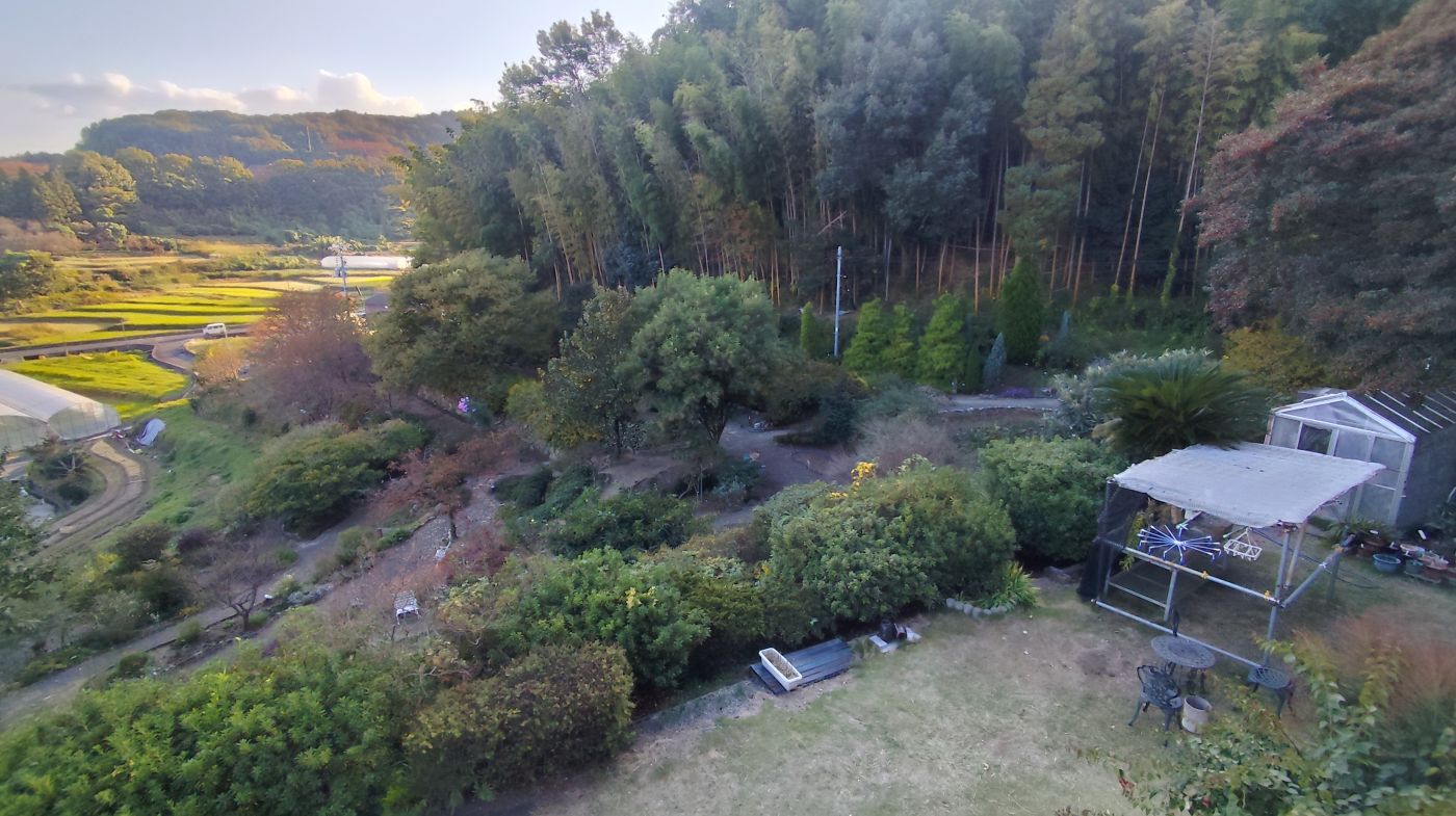 現地からの眺望